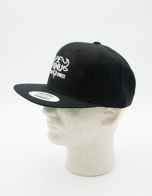 Load image into Gallery viewer, YP Classic Wool Blend Snapback Flat Bill Black Cap
